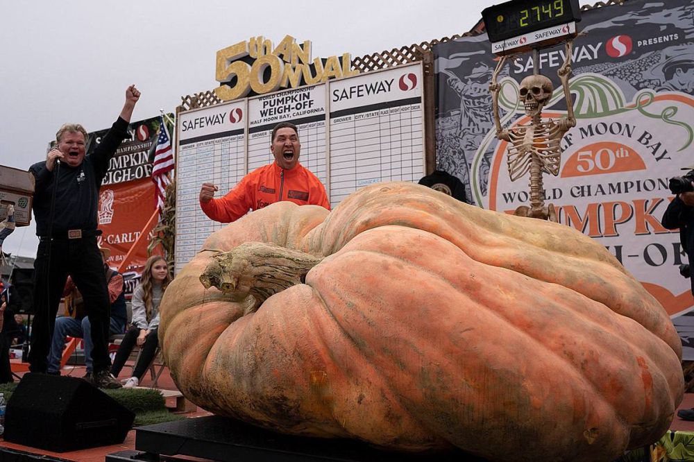 ���������� �������� ����� ������� � ���� ����� � � ��� 1300 ���������