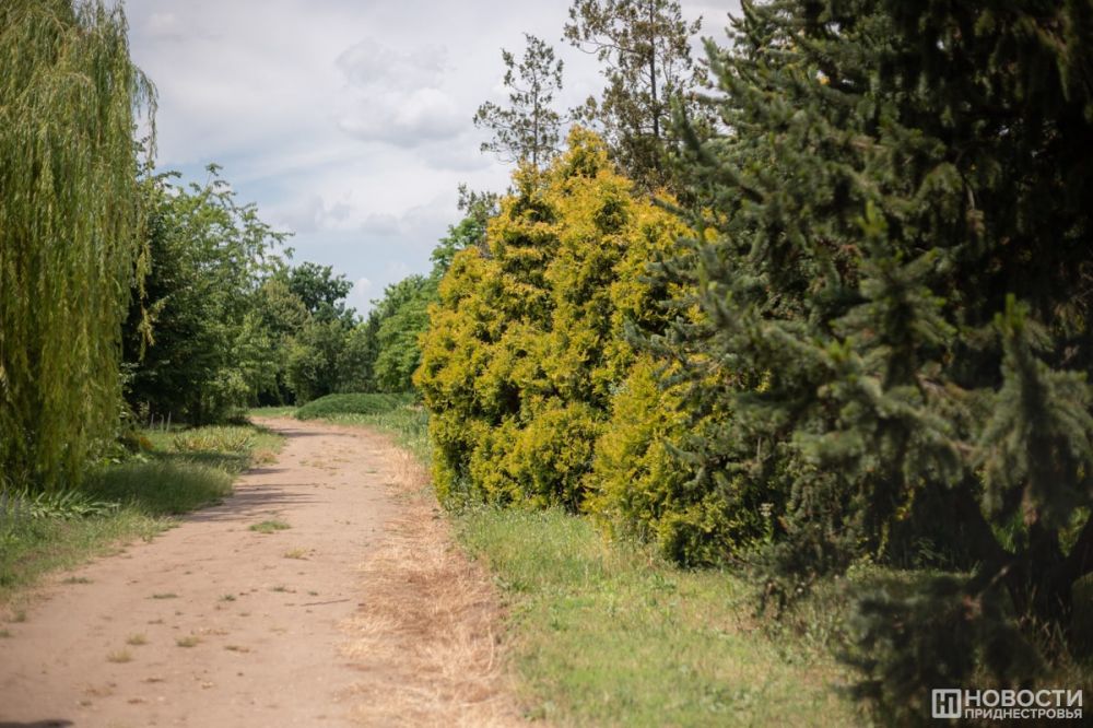 ������� � ��������� �������� ������