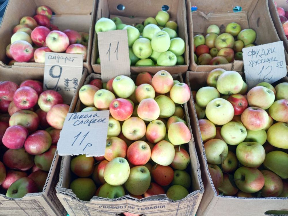 ���� �� �����:. ������ � 9-15 ������