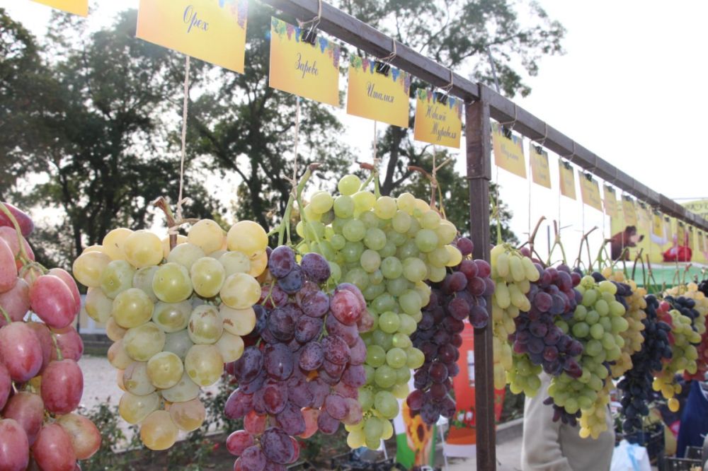 � ���������� 27 ������� �������� ��������� �������� ���� ���������