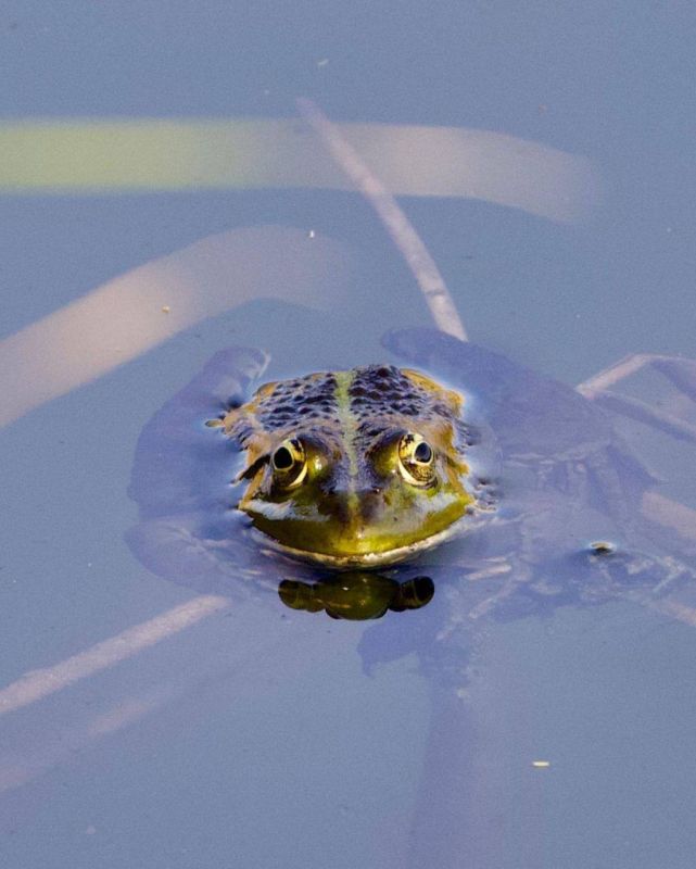 ������� �� �����.. ���� ������ ����������