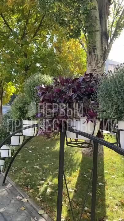 ���������� � ��� �� ������ ���������!