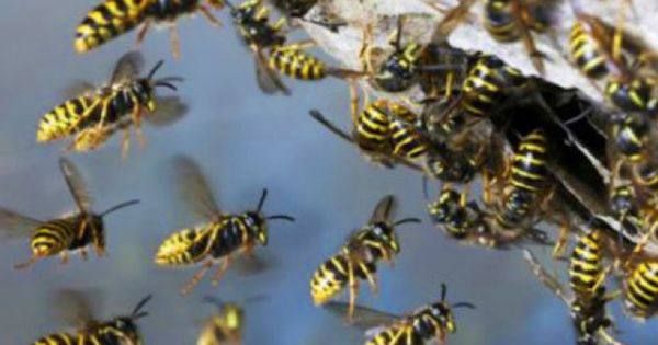 ��� ��������� �������. ��� ��������� 2 ������� � �������, �� ���������� ���������� ���������. ������ �������, �������...