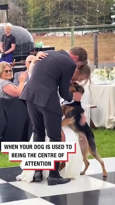 ������ ���: � ������� ������������ ����� � ������ ������ �����������, � ������� �������� �������� �� �����������