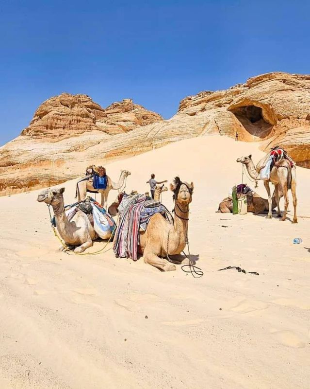 ���� ���� � ��������� �������