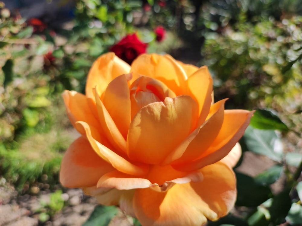 ������� ������ �� ������ � 16 �� 22 �������