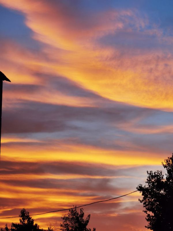 �������� ����� ��� ��������