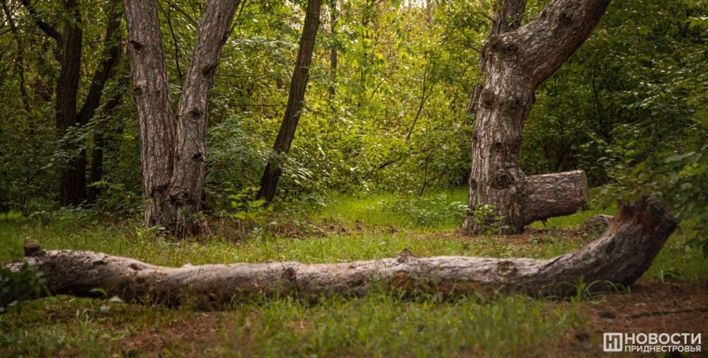 � ������������� � 14 ������� ��������� ����� �� ������ ������