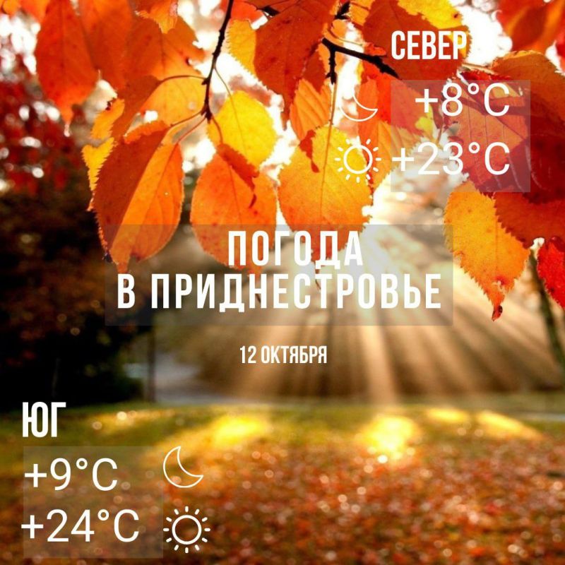 ����������. ���� � �� +24. �� ����� ����� ���� ��� ������