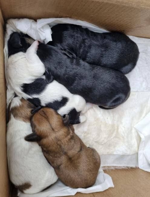 ������������� ������ �������� �� ������� �������