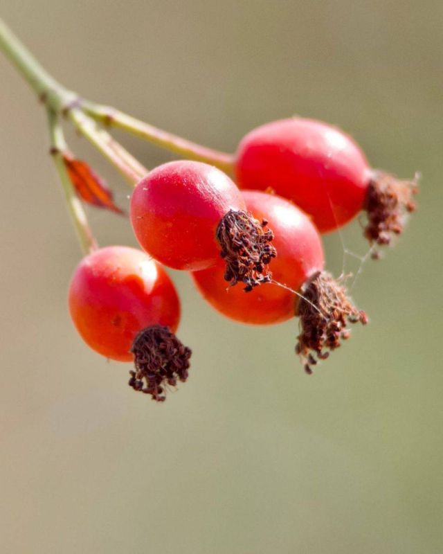 ������� ������.. ���� ������ ����������