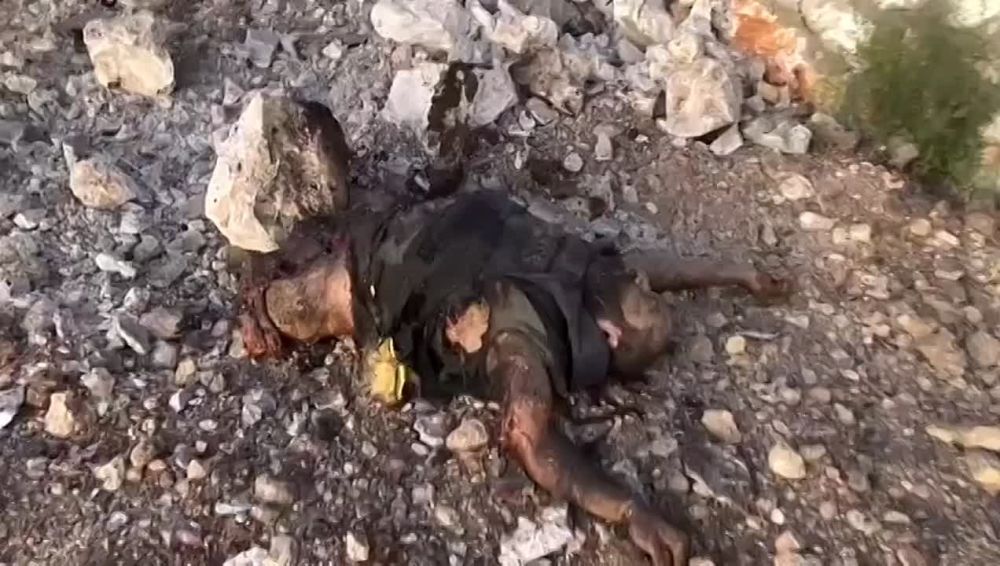 ������ ������������ �������� ������������� ��������� "�������"