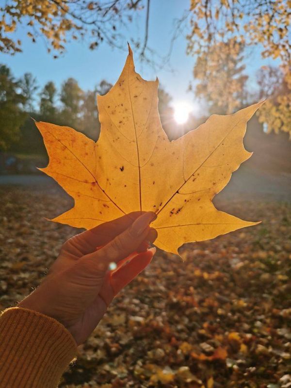 ������ ������ ������� ��������� �� 1-2�� ���� ����������� �����