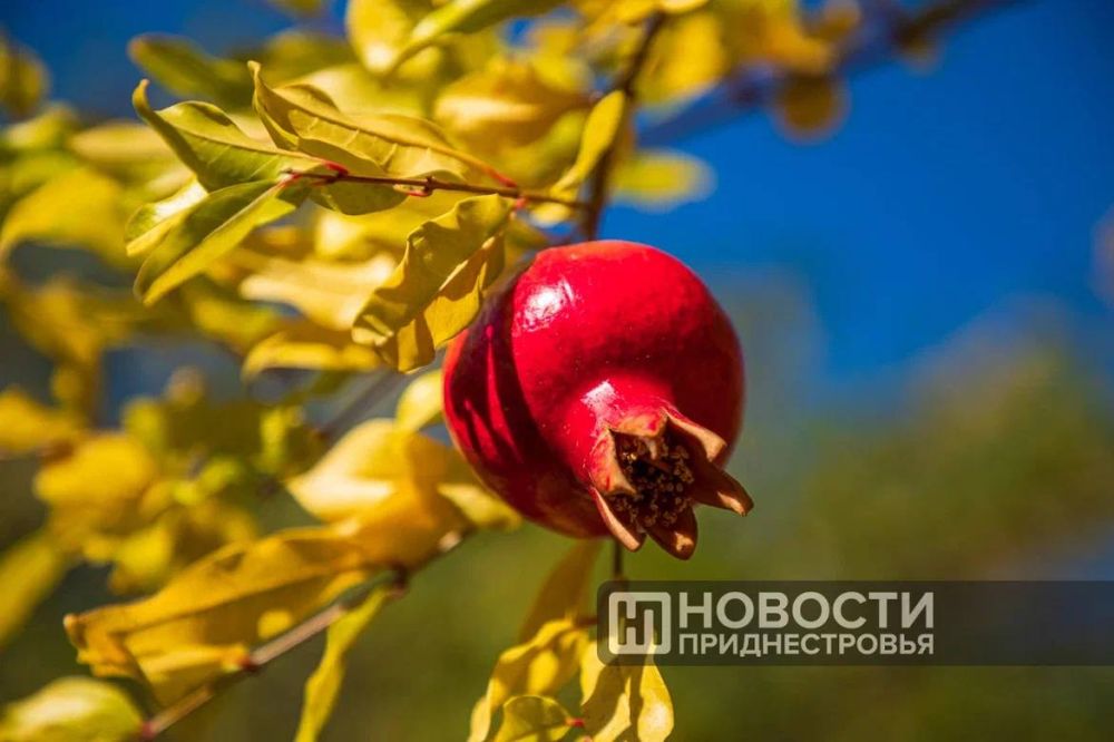 ������� ������� � ������������� �����������