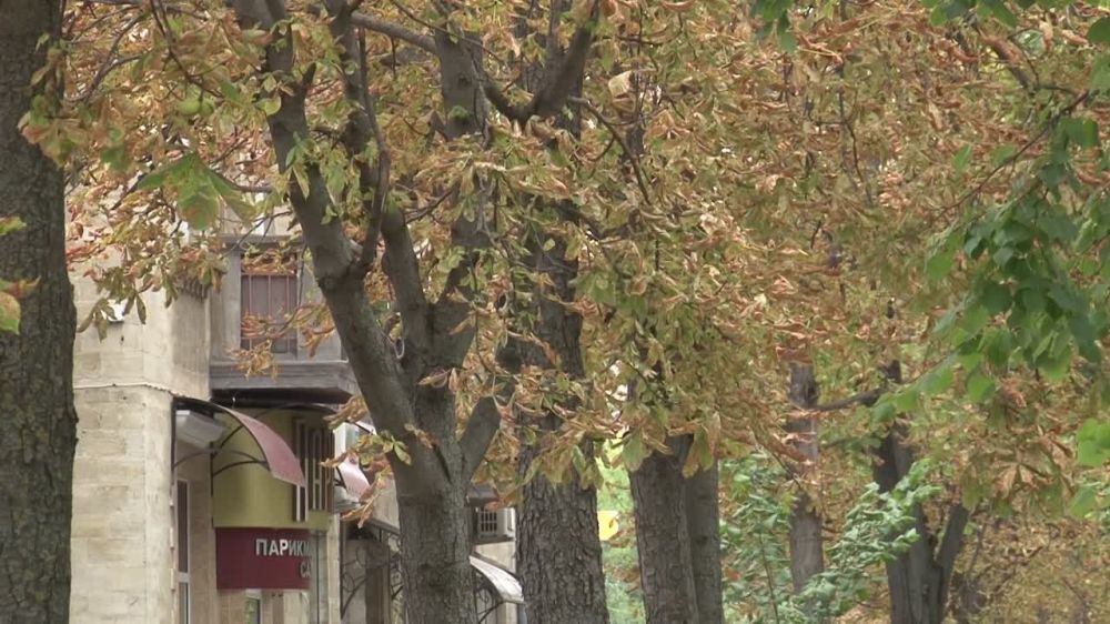 ����� �������� � ���� � ������ ��������� ������ ������� � ������