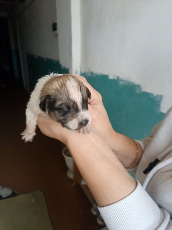 ��� ������ ���� ���. ������� � ������� ����� ����� � ��������