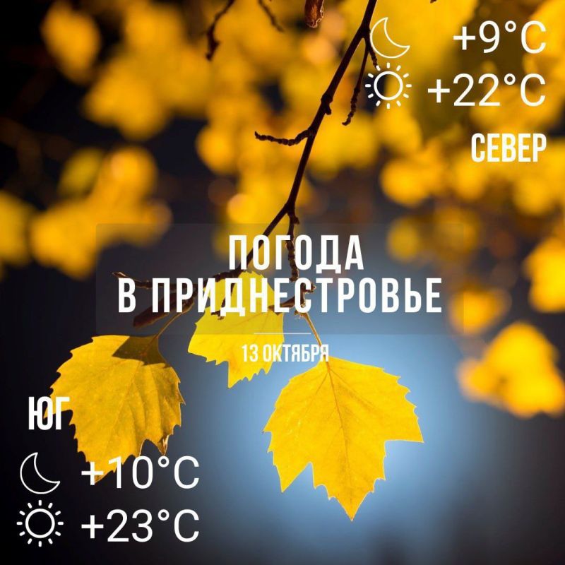 ������� ���� � �������� ������� �� +23��