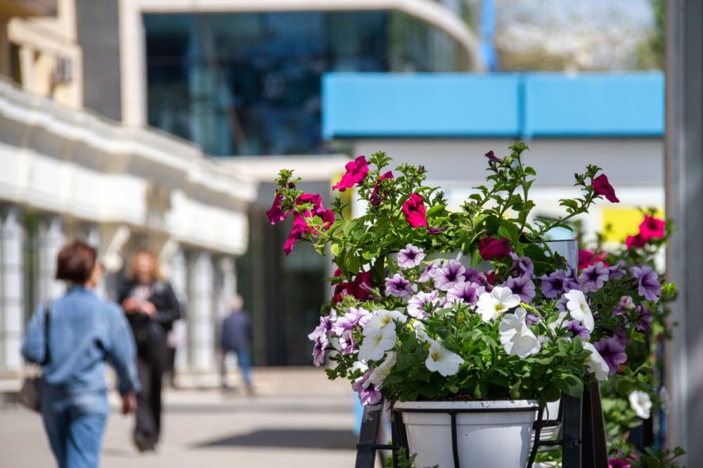 ���� ����� �����, ���� ����� �����, ��� ��������, ��� ���� �� �����