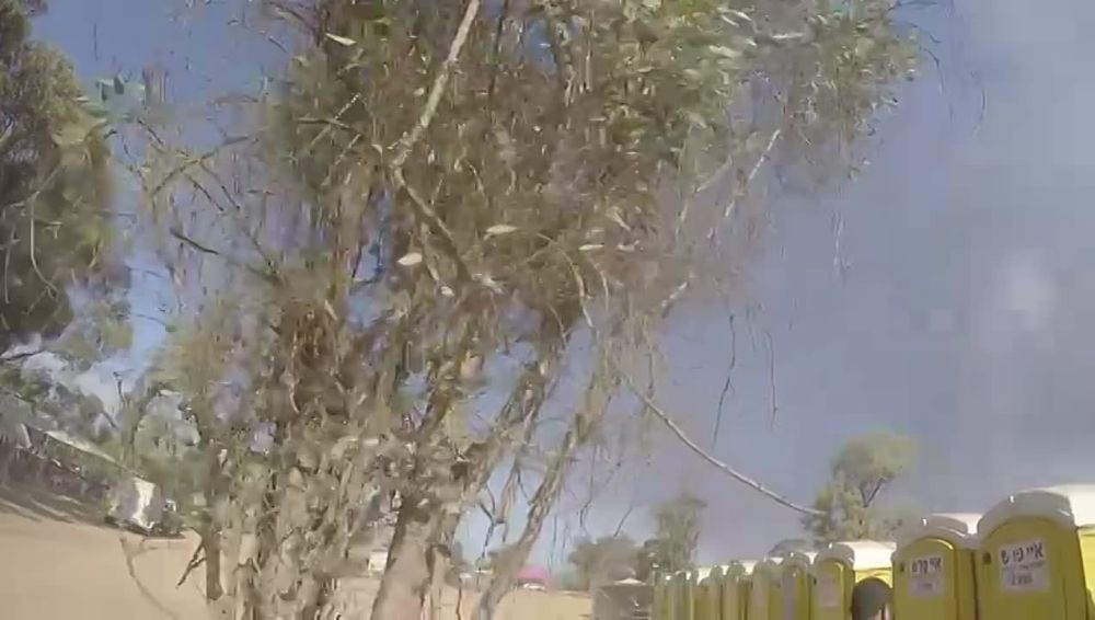 ����� ����� ����� �������� ����� �� ����������� ��������� Nature Party