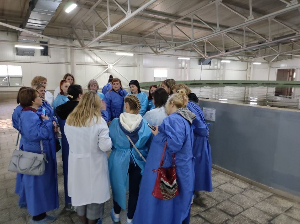 ��������� �� �������. � ������������� � ������� ����� ���� ���������� �����������, ������������ �� ������������� �������� ��������� ���������, ���������������� ��������������, ��������� ��� �����������, �������� �������� ����������