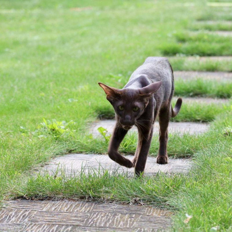 ����������! � ���!. ���� ������ ����������