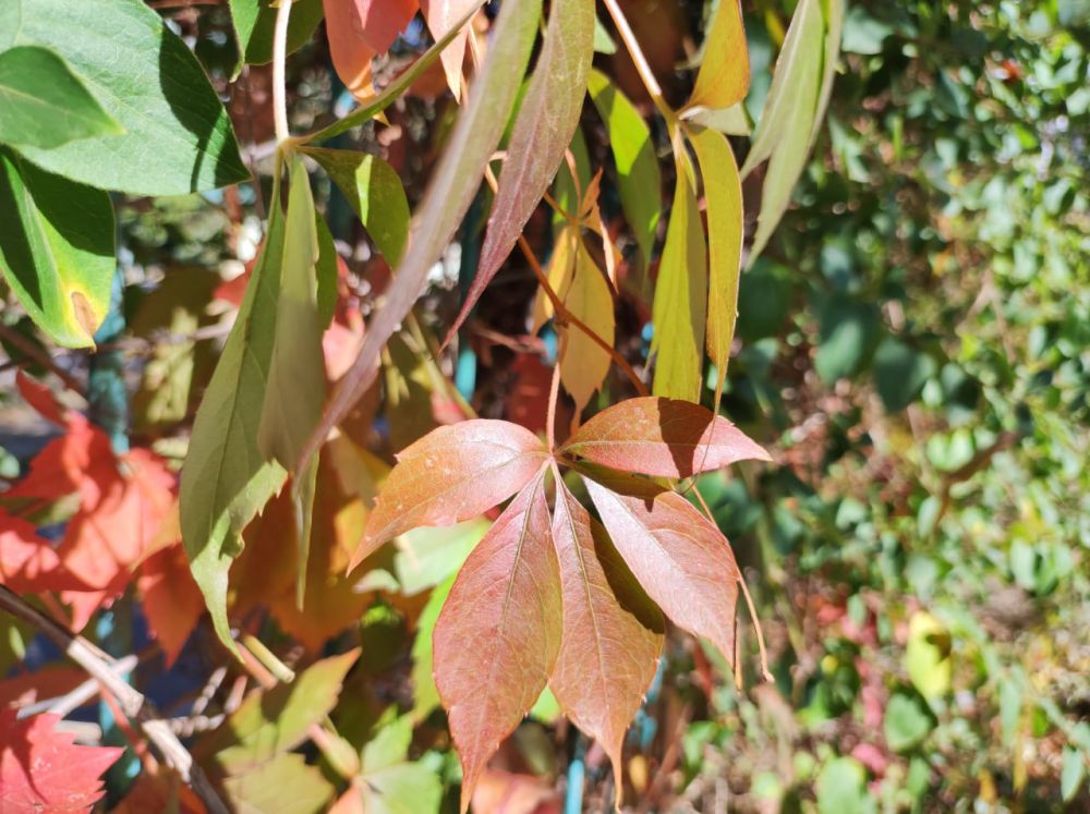 ������� ������. �������, 13 �������, ��������� ���������� ����������, ��� ������������ �������