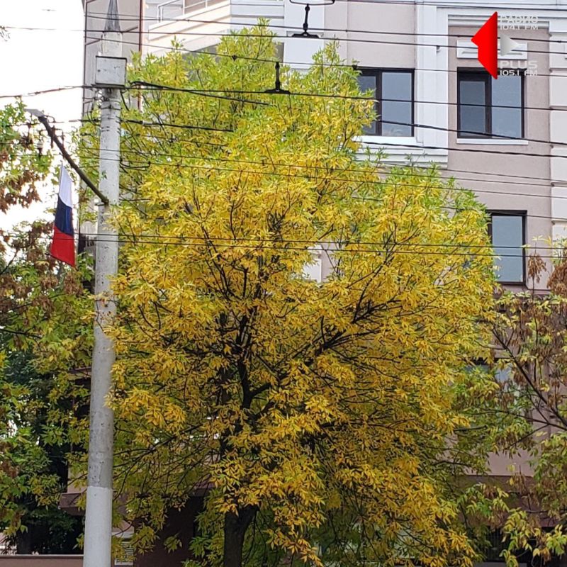 ������� ���������