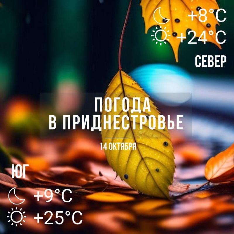 ����� ���� ������������. ���� �� +25��