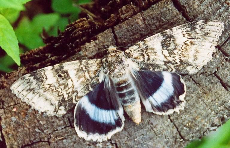 � ������� �������� ����� �� ���������� ��������� ��������� � ������� � ����������� ��������������� ����� ����� � �����