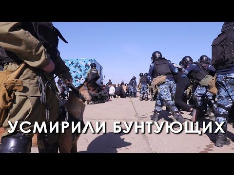 ���, �����, ������ � ����� ���������� ����������� ���������� �������. ��� ��������� ��������� � �������. �������� ��� ����������� ���������� ���� �������. ��� ������ ��������� ������ ��������, ����� ��� �������������