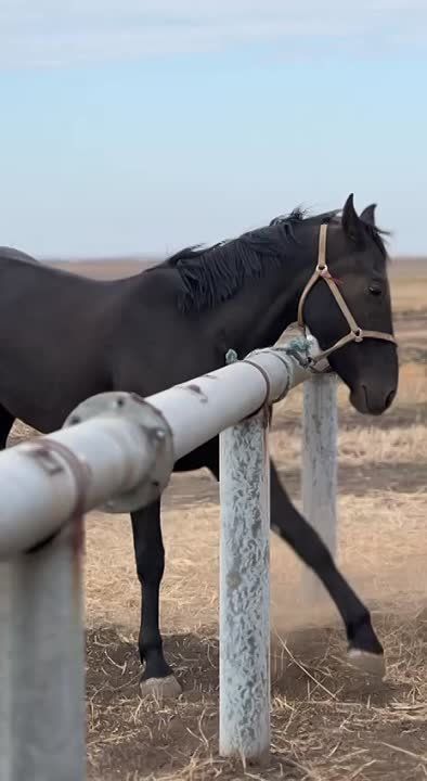 ��������� ������ ��������� � ������