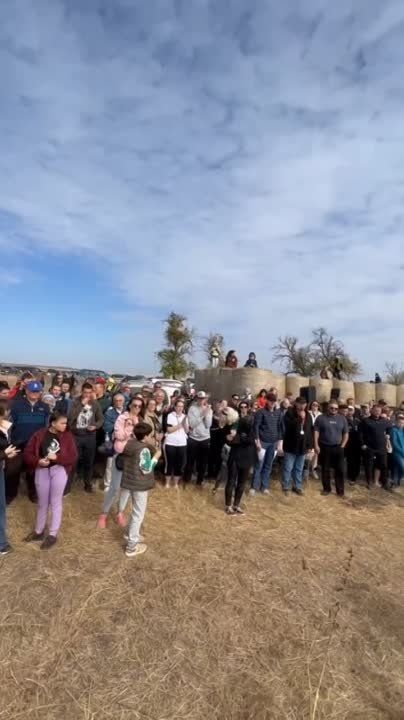 � ��������� (���������������� �����) � ���� �������! ��������� ������ �����