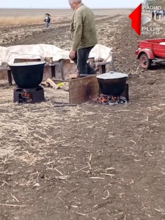 ������ � ���������. ��� ��� ����? ������ � ����� �����-���������