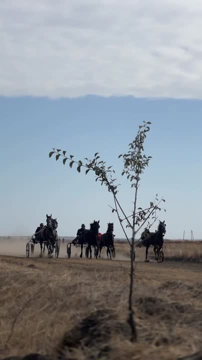 � ��������� ��������� ����� ������� ������ � �������� ���������� �� ��������� ����