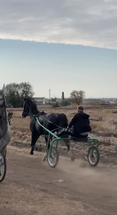 ��������� ������ ��������� � ������