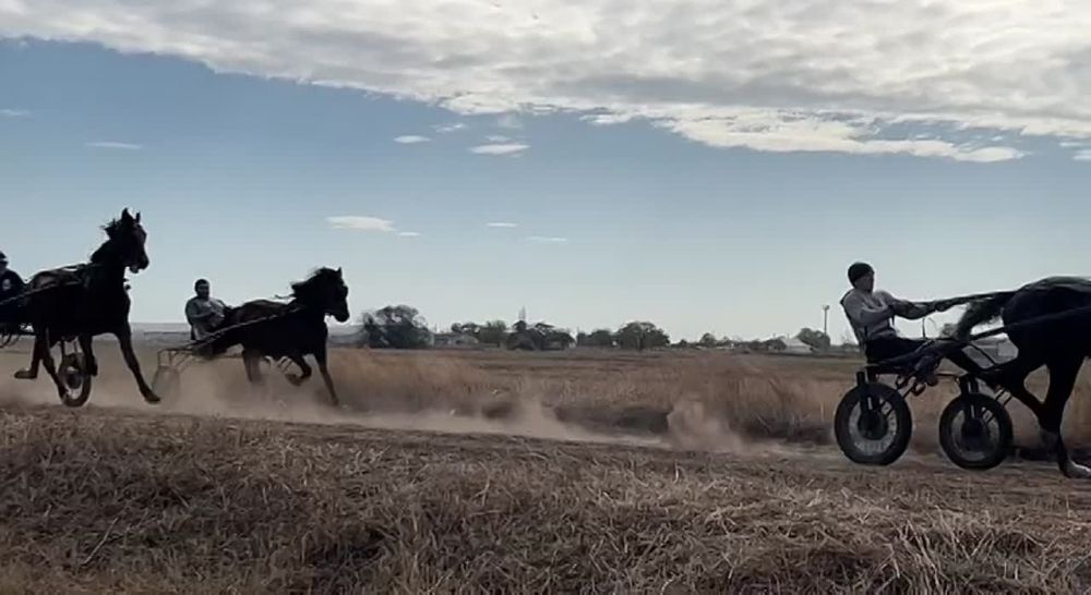 ������ ������ � ������ ����������.