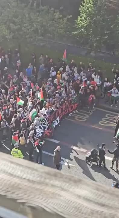 � ������ ����� �������� �������� ������� � ��������� ���������