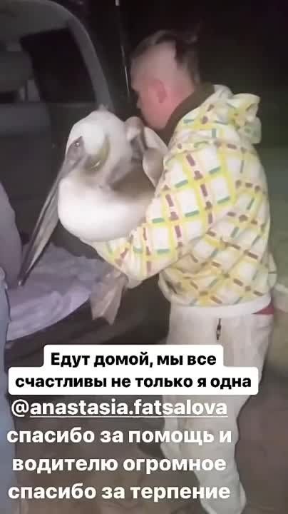 ���������� ��������, ��� �������� ��� ������� � �������� � ��������� � ������� � ��������� ��� ��������