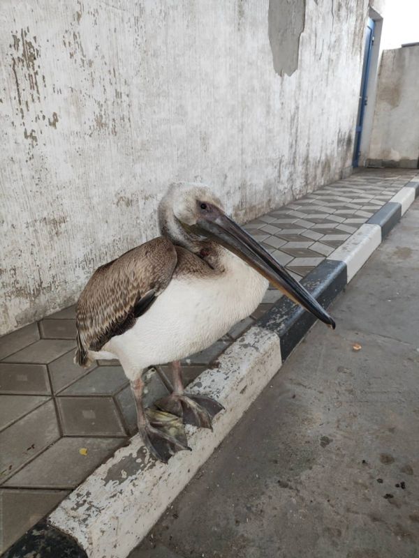 �������� ����� �� �������� �� ������ �� �������