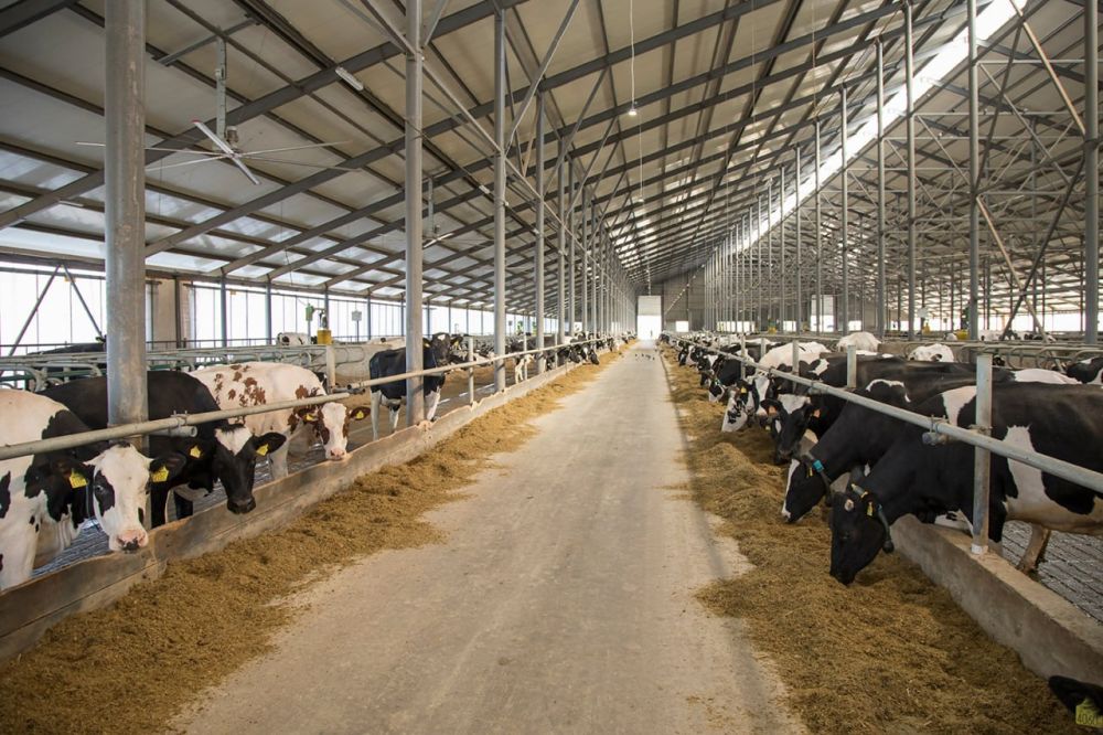 ������������, ��� ����� ������ ������������������