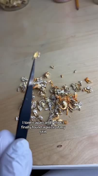 �������� �������� �� ����������� ���� � ����� ���� ���������, ������� �������� �����-������������ � ���� The Last of Us. � ����� ���� ���