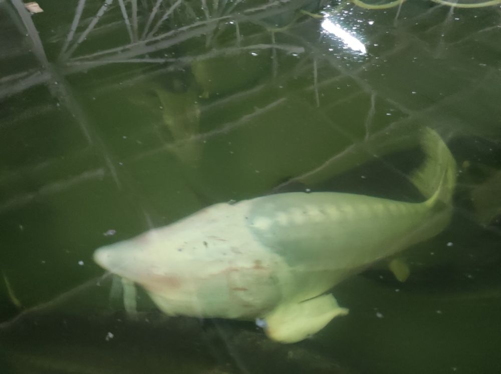 ��������� ��������� � �������� ����