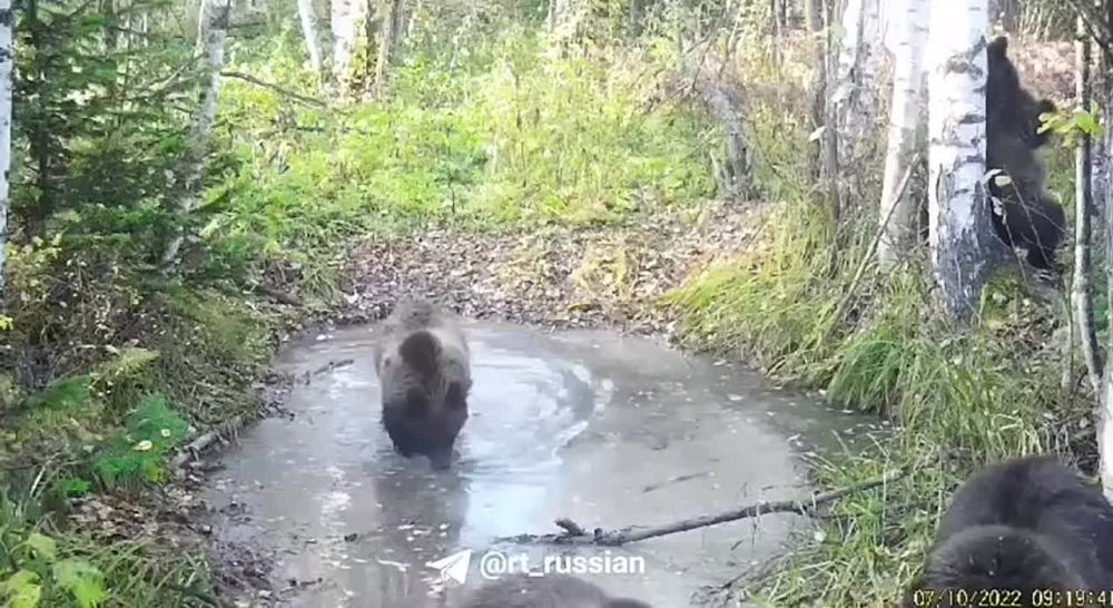 ��� � ���� ����� ������� �����������