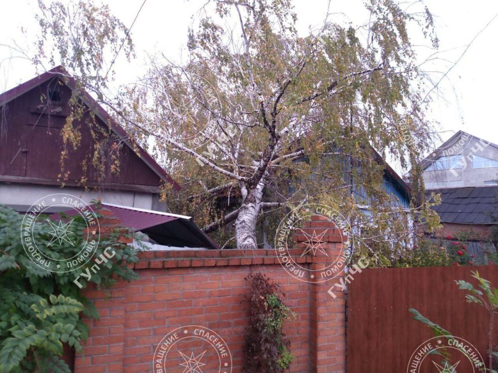 � ������� ��� ������� ����� �� ������� ������