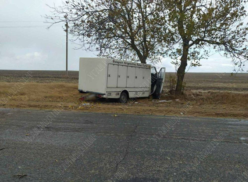 ������ ���� ���������, ������� ������ � ������