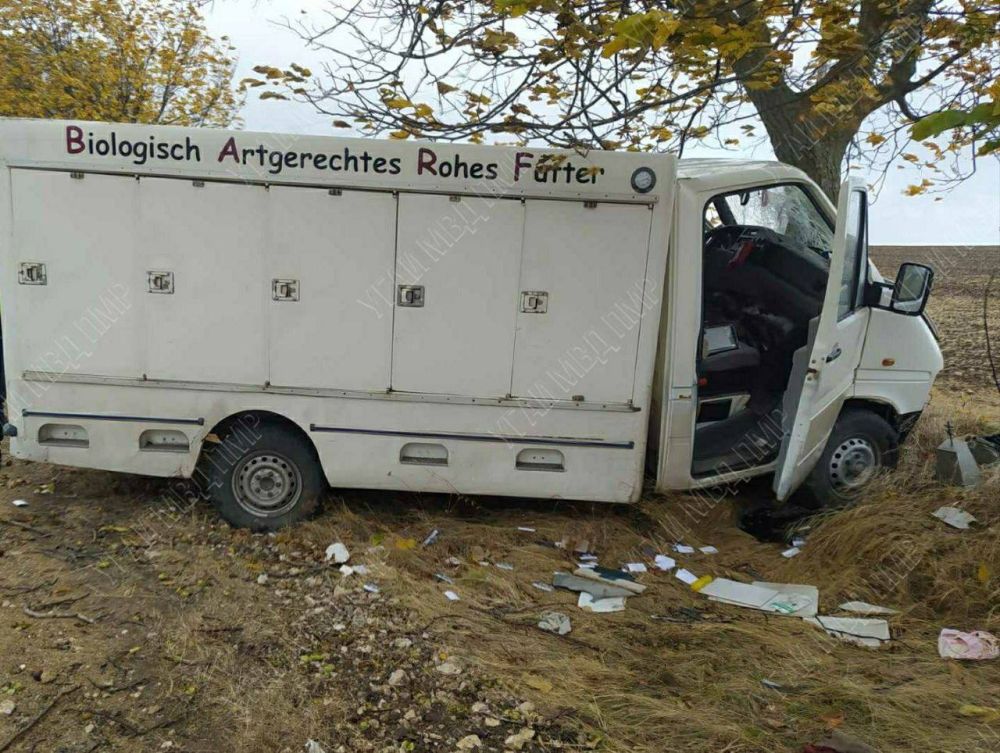 ������� ����� ����� �� �����, � ������ �� ������� � ������