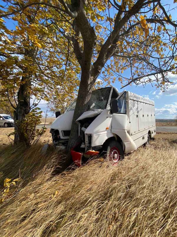 �� ����� ������ �������� ������ � ���� �������