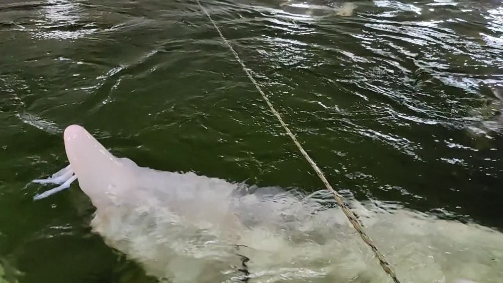 10 ���������� ������ �� ��������� ��������� ��������