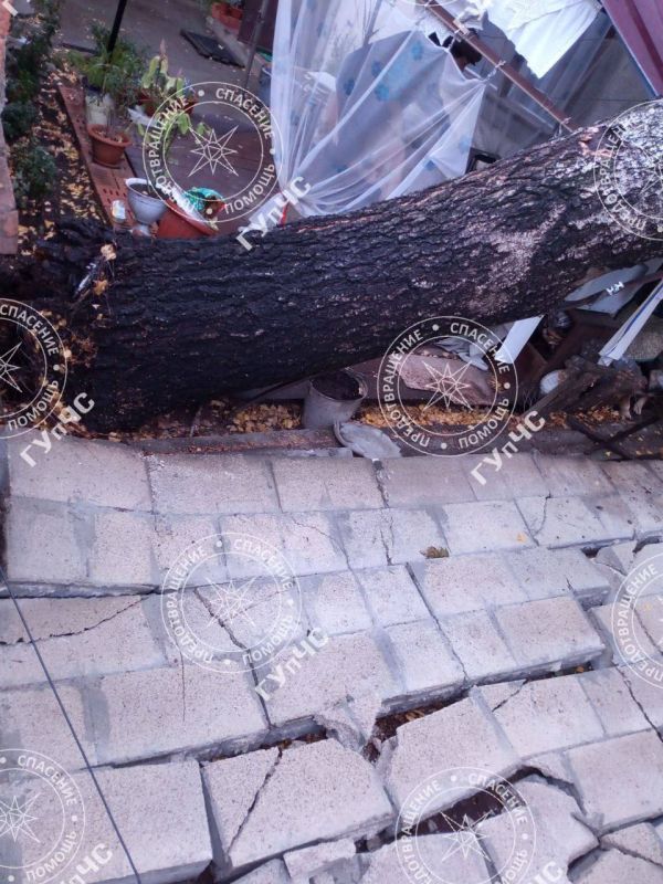 ����������� �������� ����� � ���������