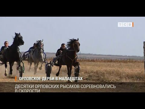 ����� � �������� �������� ����� ���� ����� �������. ��� ������ ��������� ����. ��������� ������ ������������� � ��������